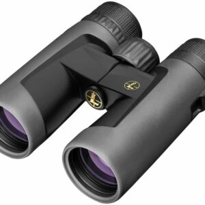 Leupold BX -2 ALPINE HD 8 x 42 shadow grey