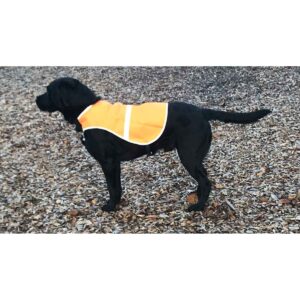 Hunde sikkerhedsvest orange-L