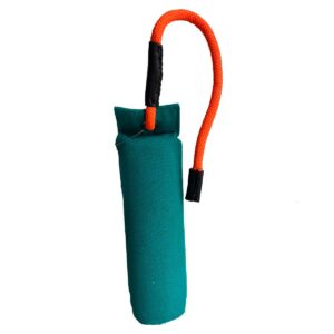 SportDOG Canvas Dummy Hvid/grøn-M